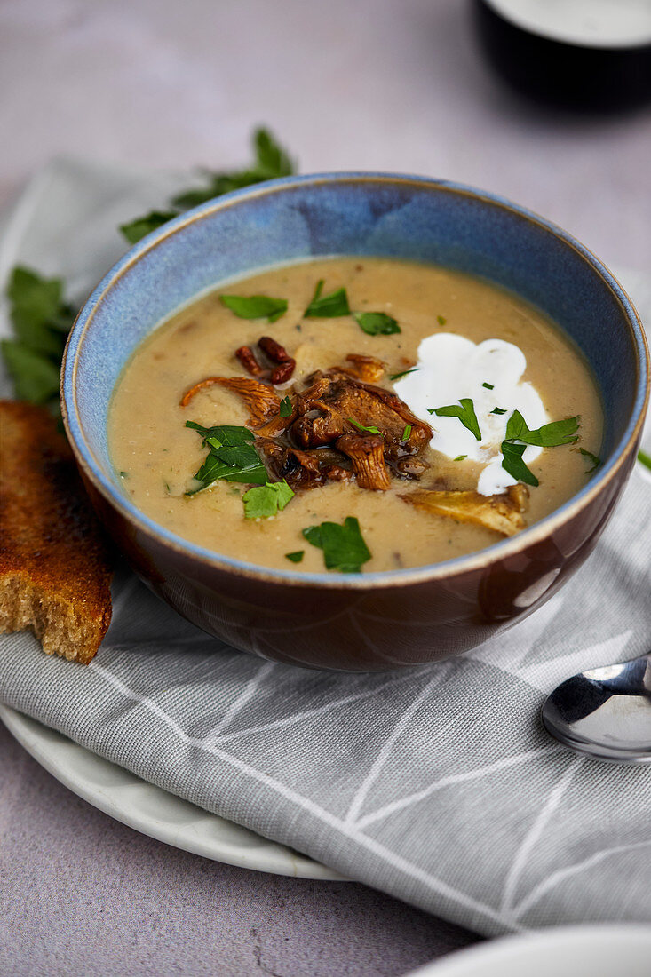 Creamy mushroom soup with baked bread and fresh parsley