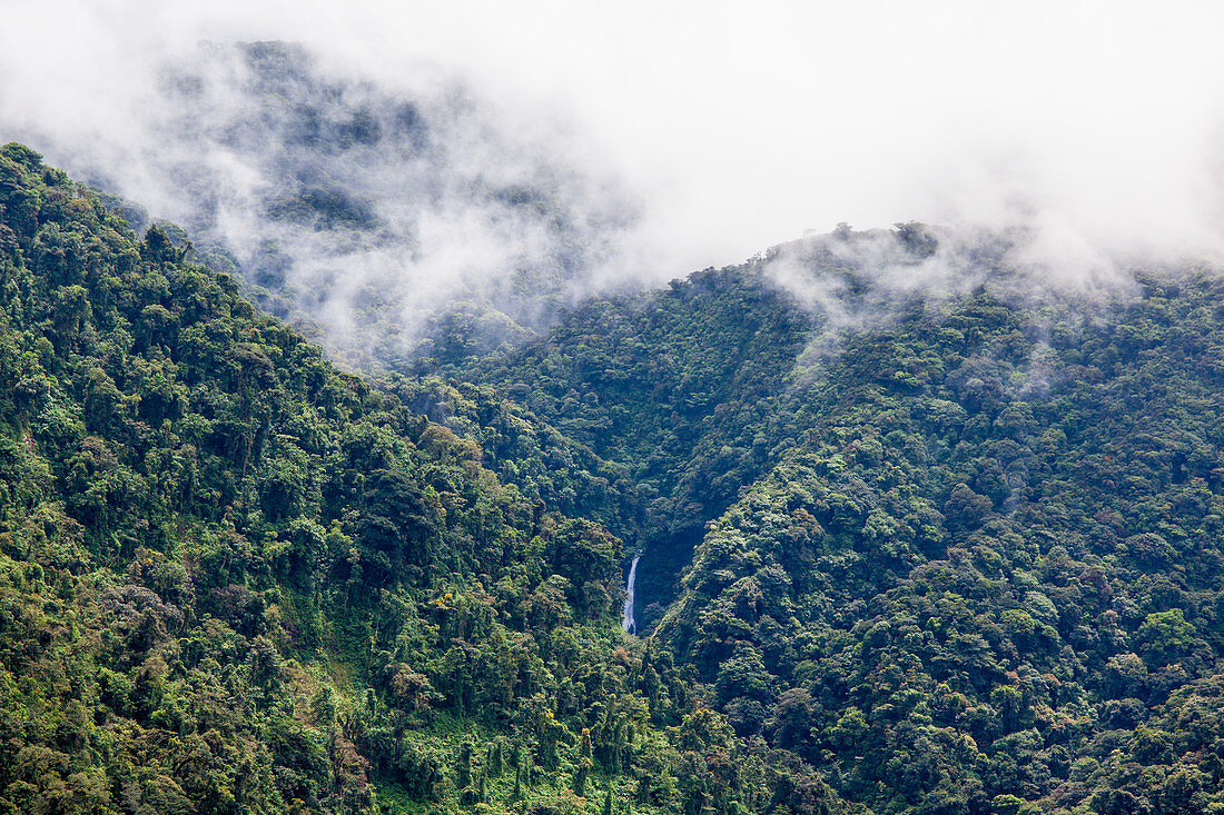 A waterfall in the Monteverde nature reserve, Costa Rica, Central America