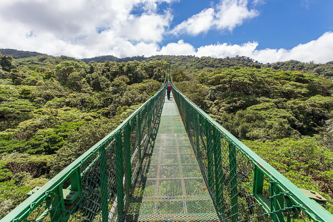 Hängebrücke über die Wipfel im Selvatura Park, Monteverde