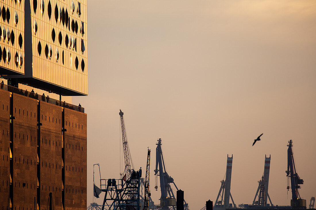 Blick auf die Elbphilharmonie, Hamburg, Deutschland