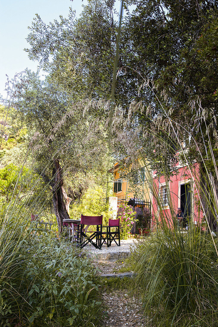 View through Mediterranean garden to terrace outside house