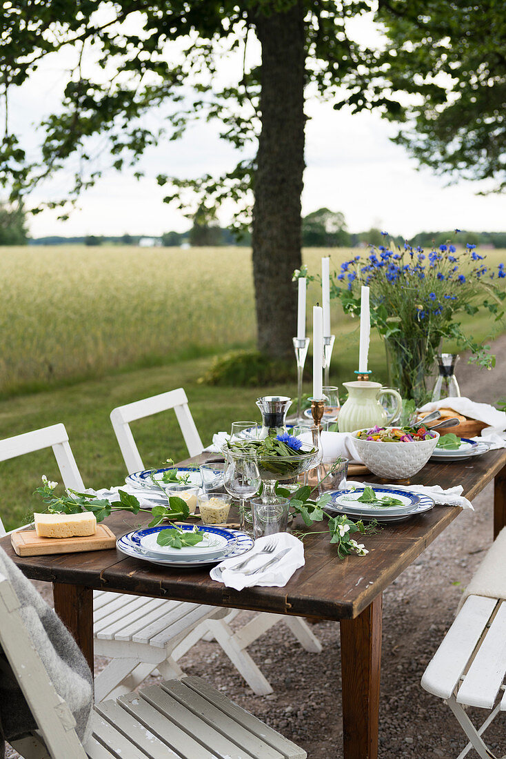 Laid table out of doors (summer)