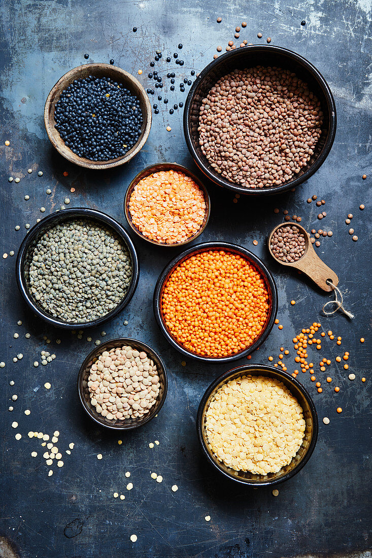 Different varieties of lentils