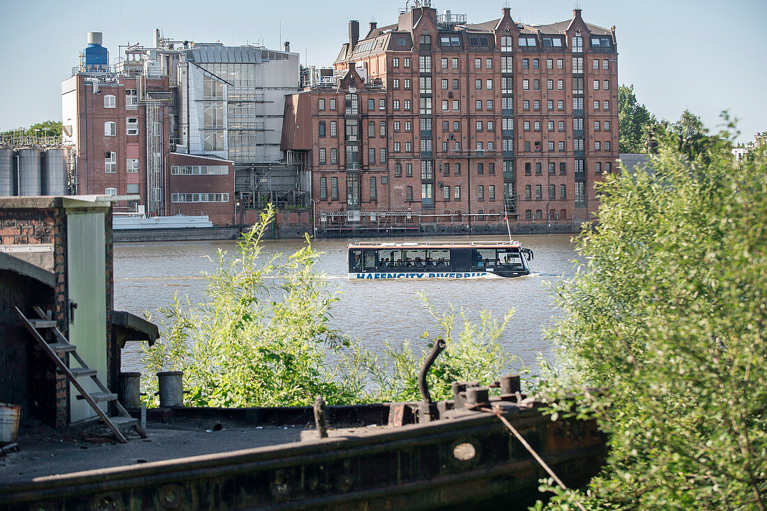 Der Hafencity Riverbus geht in Entenwerder zu Wasser, Hamburg, Deutschland