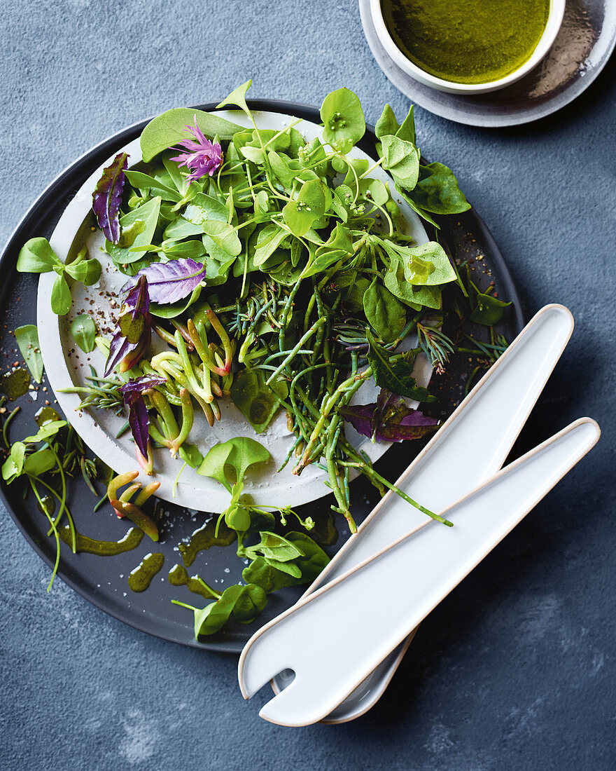 A green salad consisting of lamb's lettuce, purslane and algae