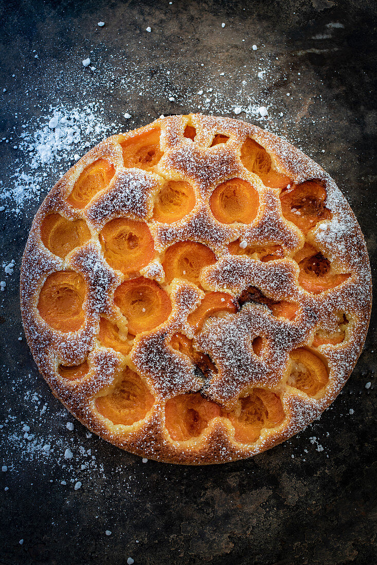 Aprikosenkuchen mit Puderzucker