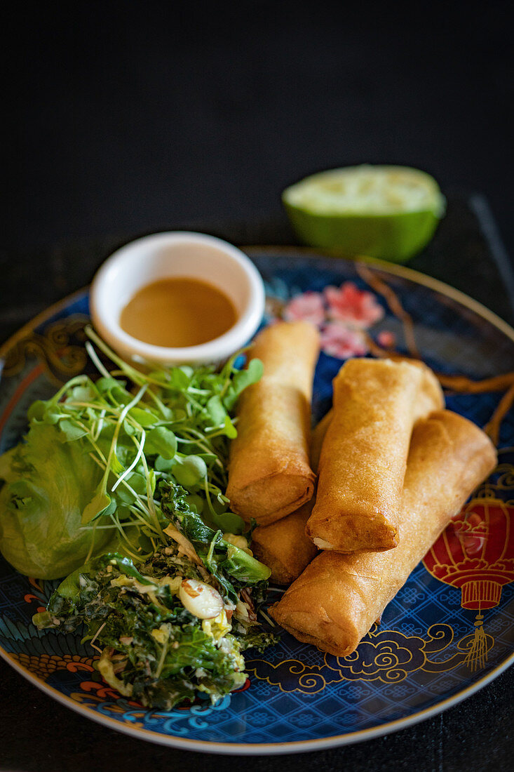 Spring rolls with salad and a dip (Asia)