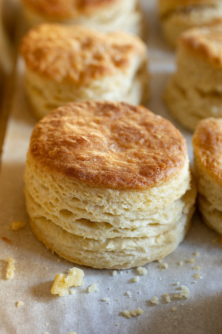 Southern Biscuits auf Backpapier