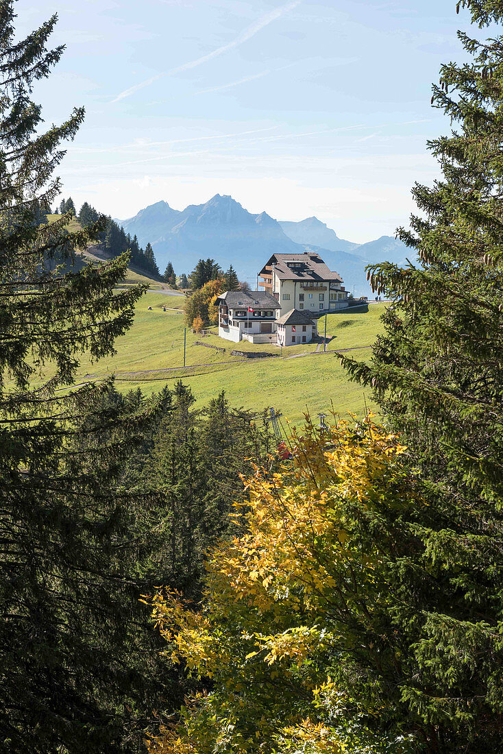 A mountain idyll, Lucerne, Switzerland