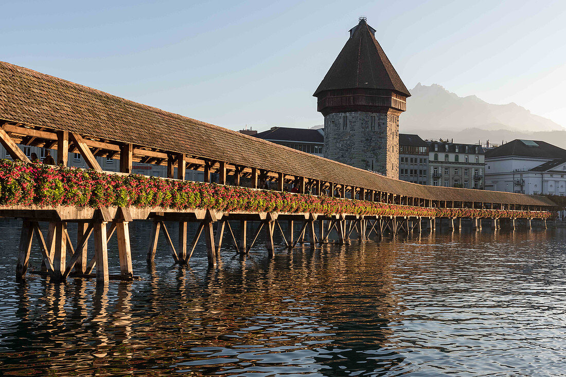 Die Kapellbrücke über die Reuss und der Wasserturm, Luzern, Kanton Luzern, Schweiz