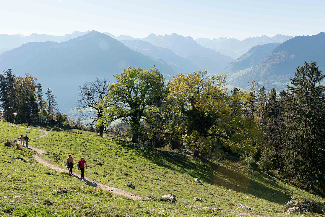 Wandern auf dem Bürgenstock, Kanton Luzern, Schweiz
