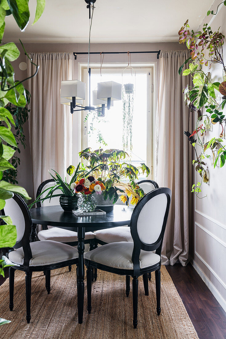 Medallion chairs around black table in classic dining room