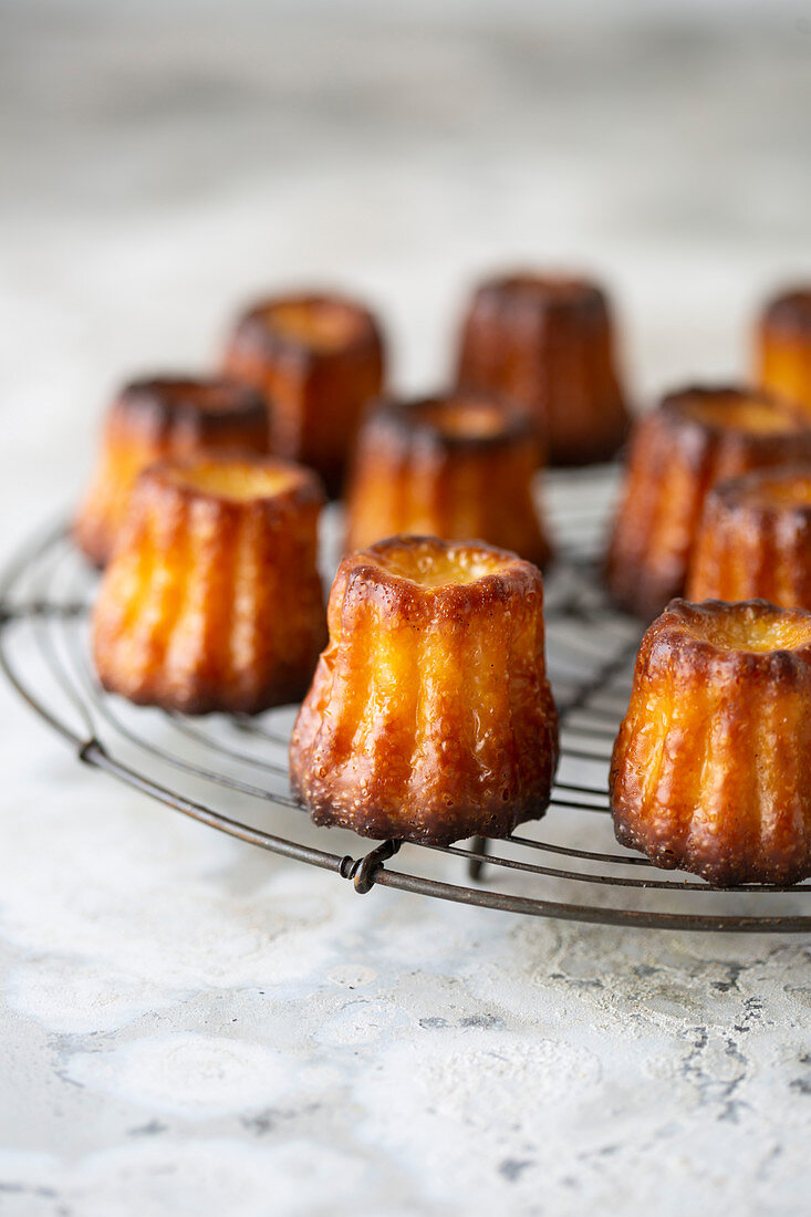 Canneles auf Abkühlgitter