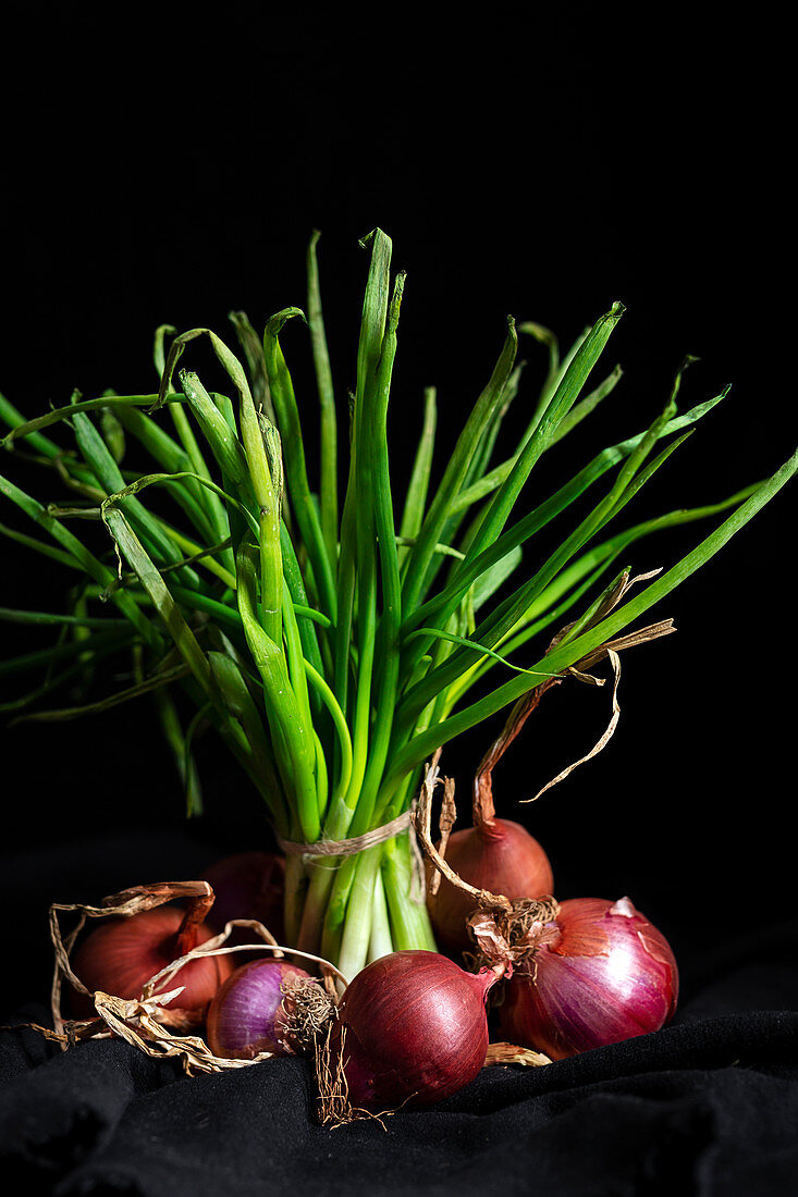 Fresh red and white onions on dark background