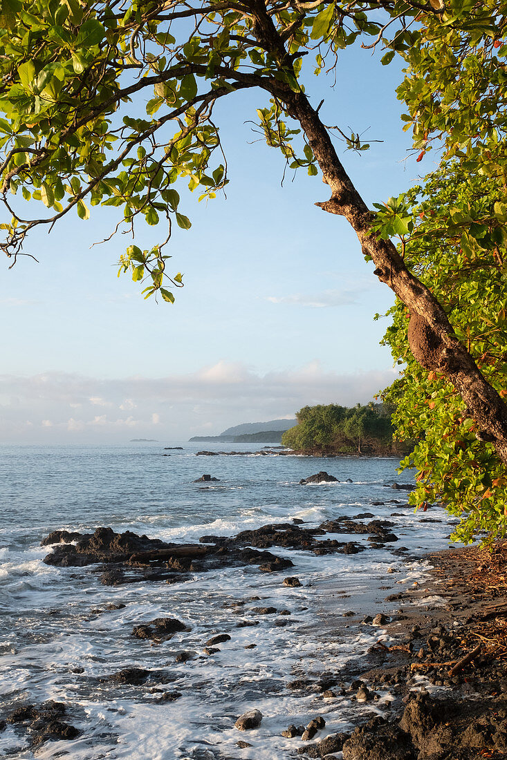 Playa Montezuma, Halbinsel Nicoya, Costa-Rica, Zentralamerika, Amerika