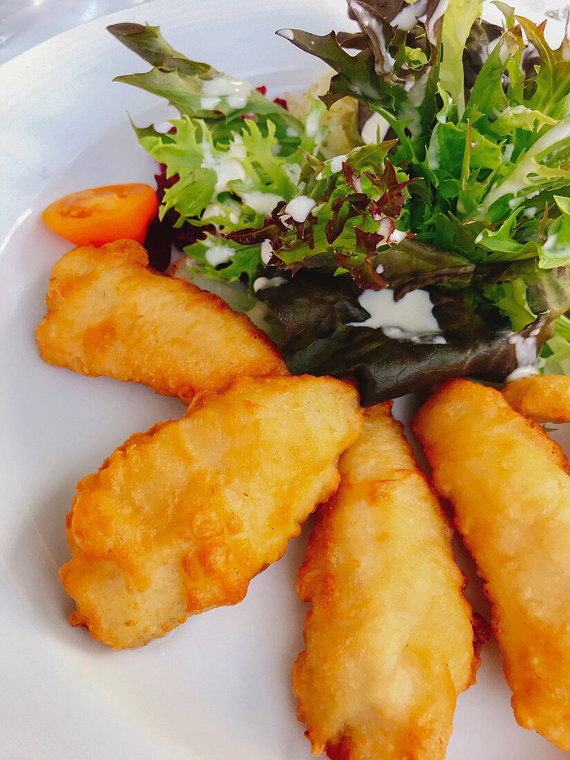 Battered fish fillet with a mixed leaf salad