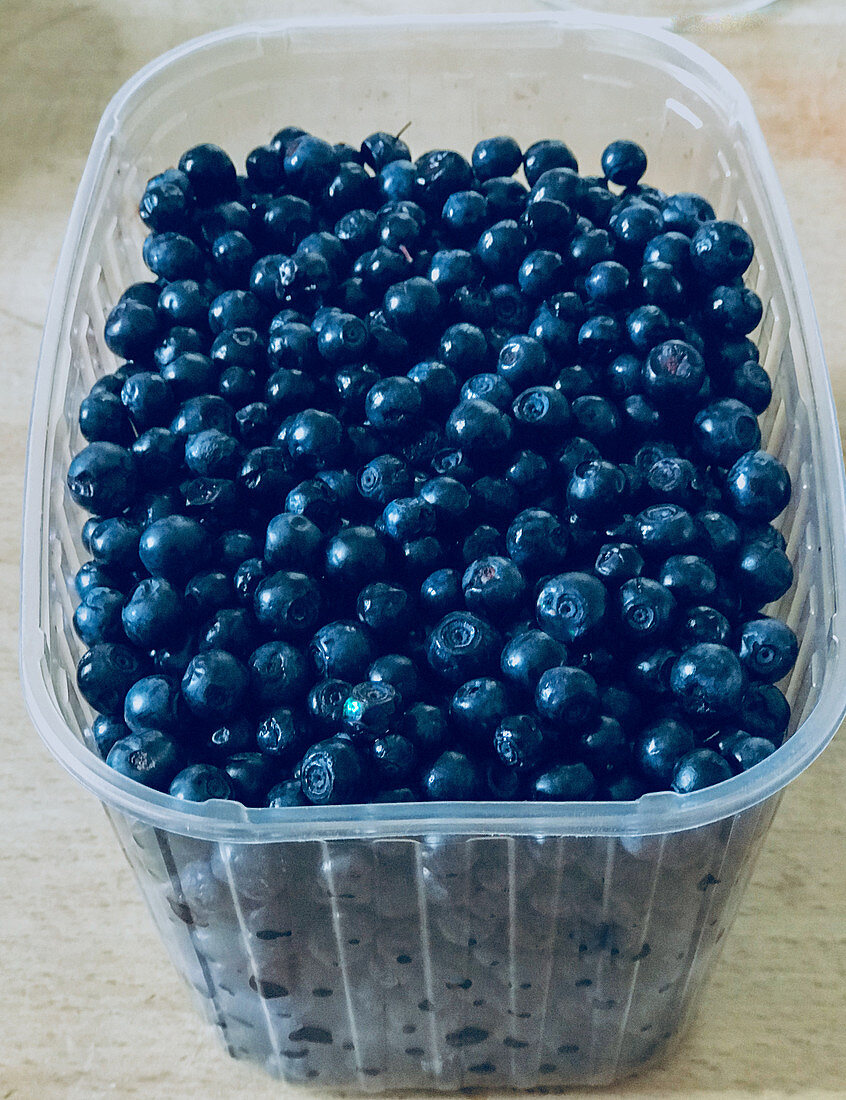 Fresh blueberries in a plastic container