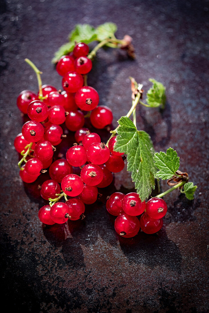 Fresh redcurrants