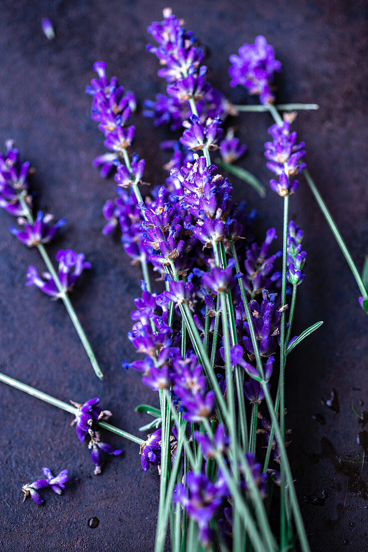 Lavender flowers