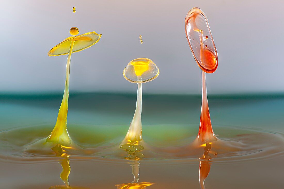 Water drop impact, high-speed photograph