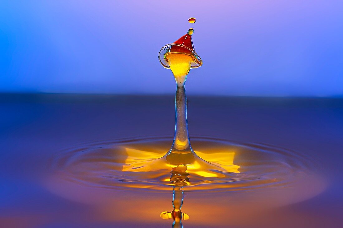 Water drop impact, high-speed photograph