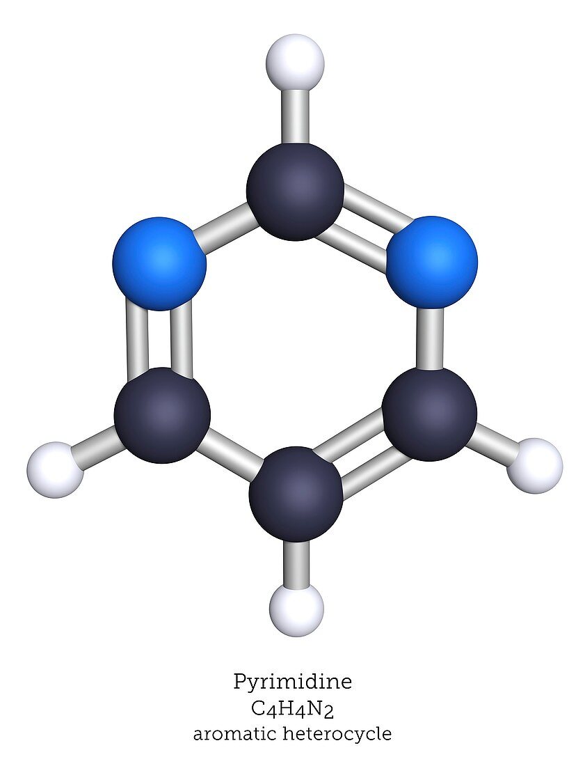 Molecular model of pyrimidine