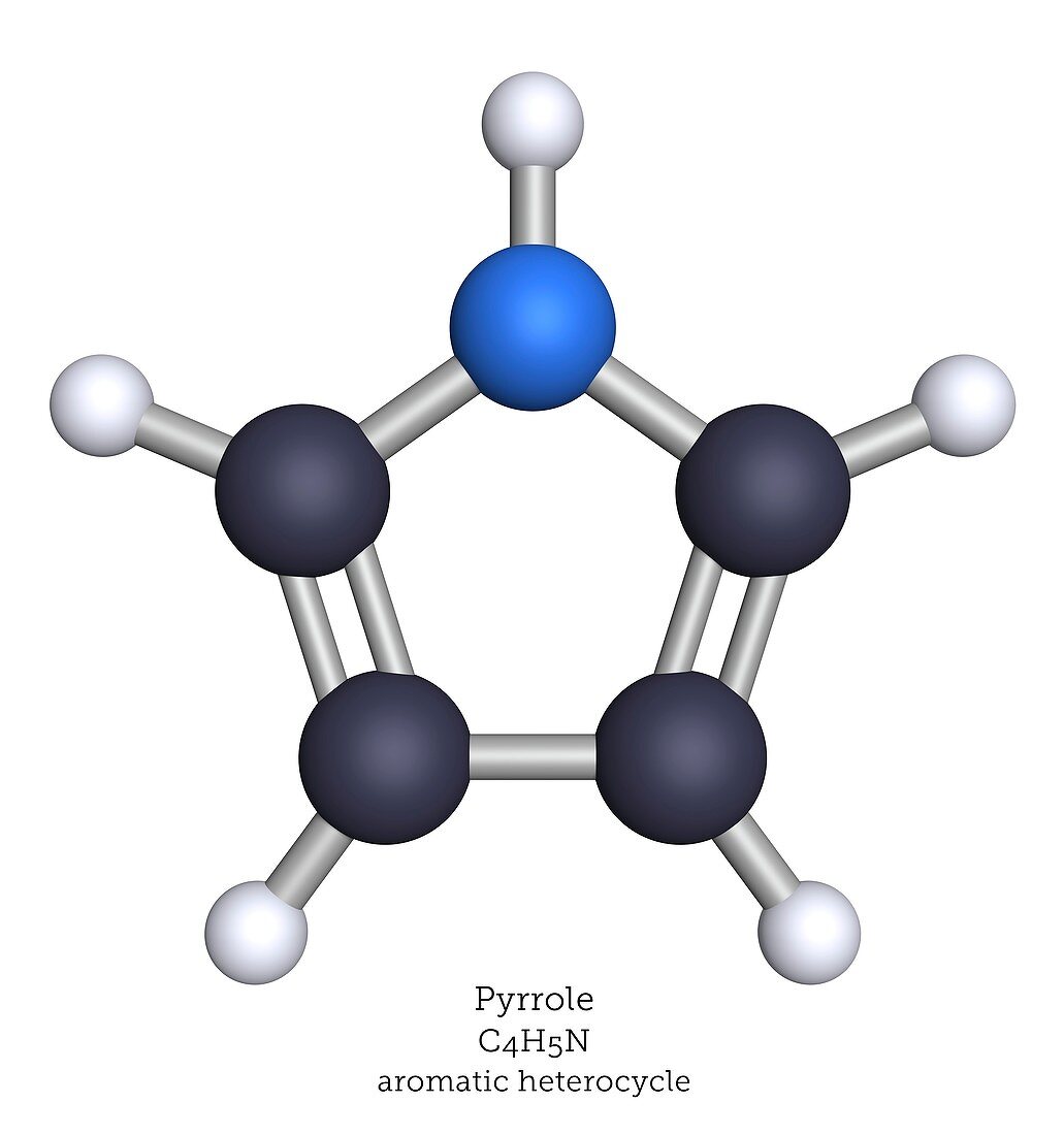 Molecular model of pyrrole
