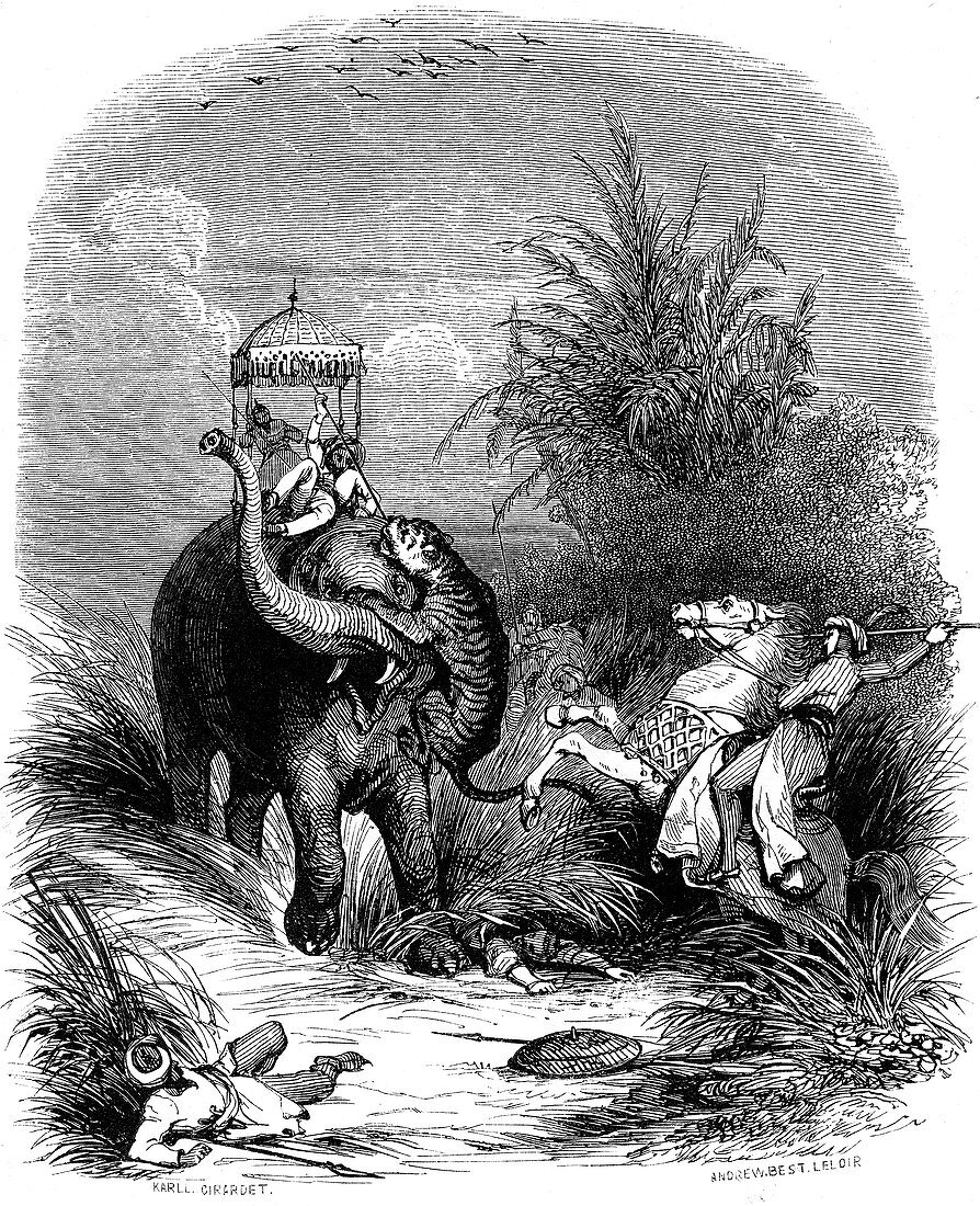 Tiger hunting in India, 19th century illustration