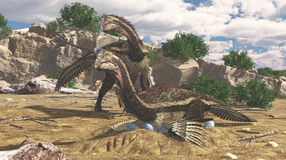 Dinosaur Oviraptor on nest, illustration