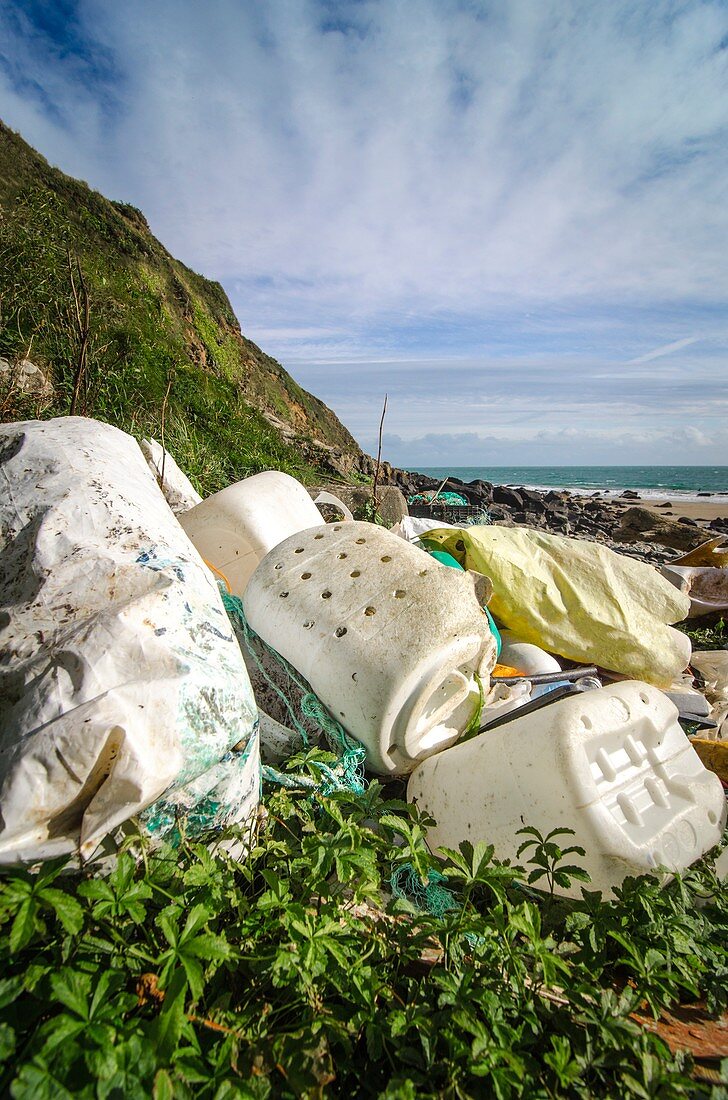 Plastic litter on coast