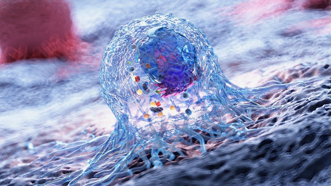 Cancer cell, illustration