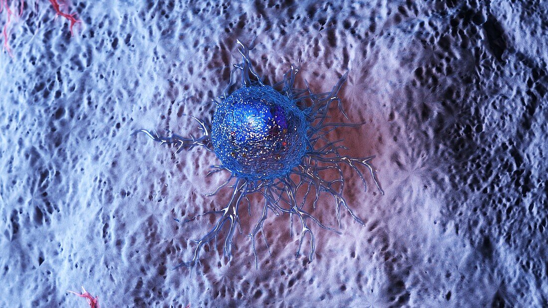 Cancer cell, illustration