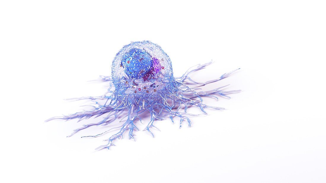 Cancer cell, illustration