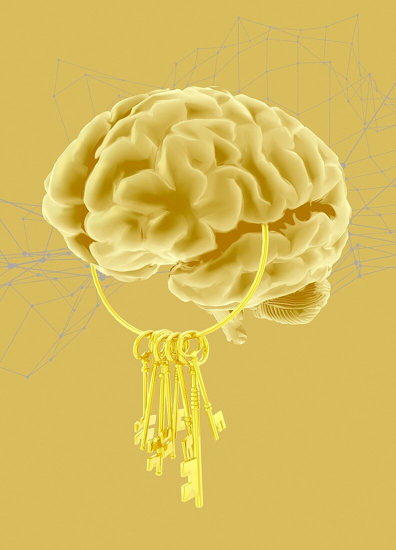 Unlocking the brain, illustration