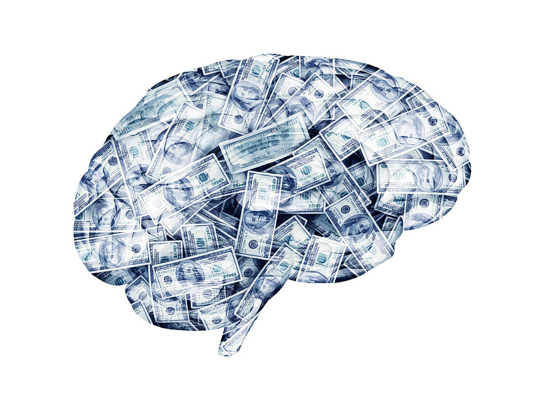 Human brain made from money, illustration