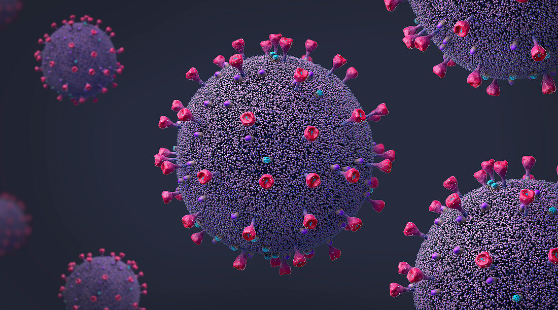 Influenza virus, illustration
