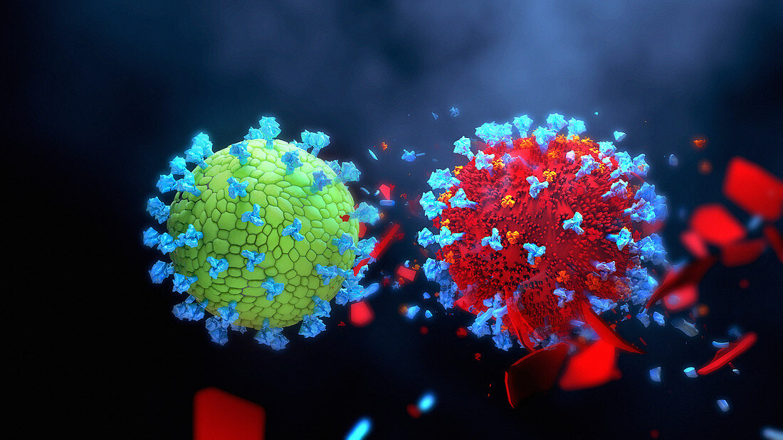 Eradicating coronavirus, conceptual illustration