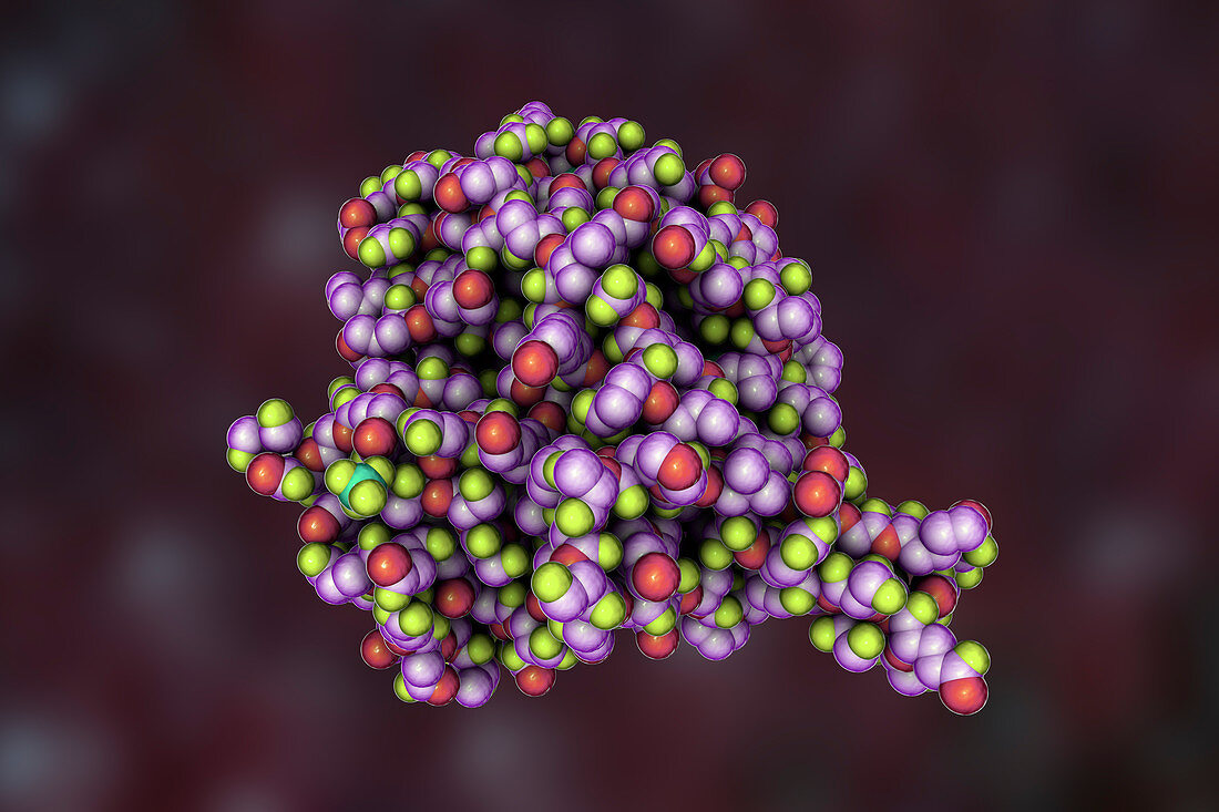 Hantavirus glycoprotein Gn, molecular model