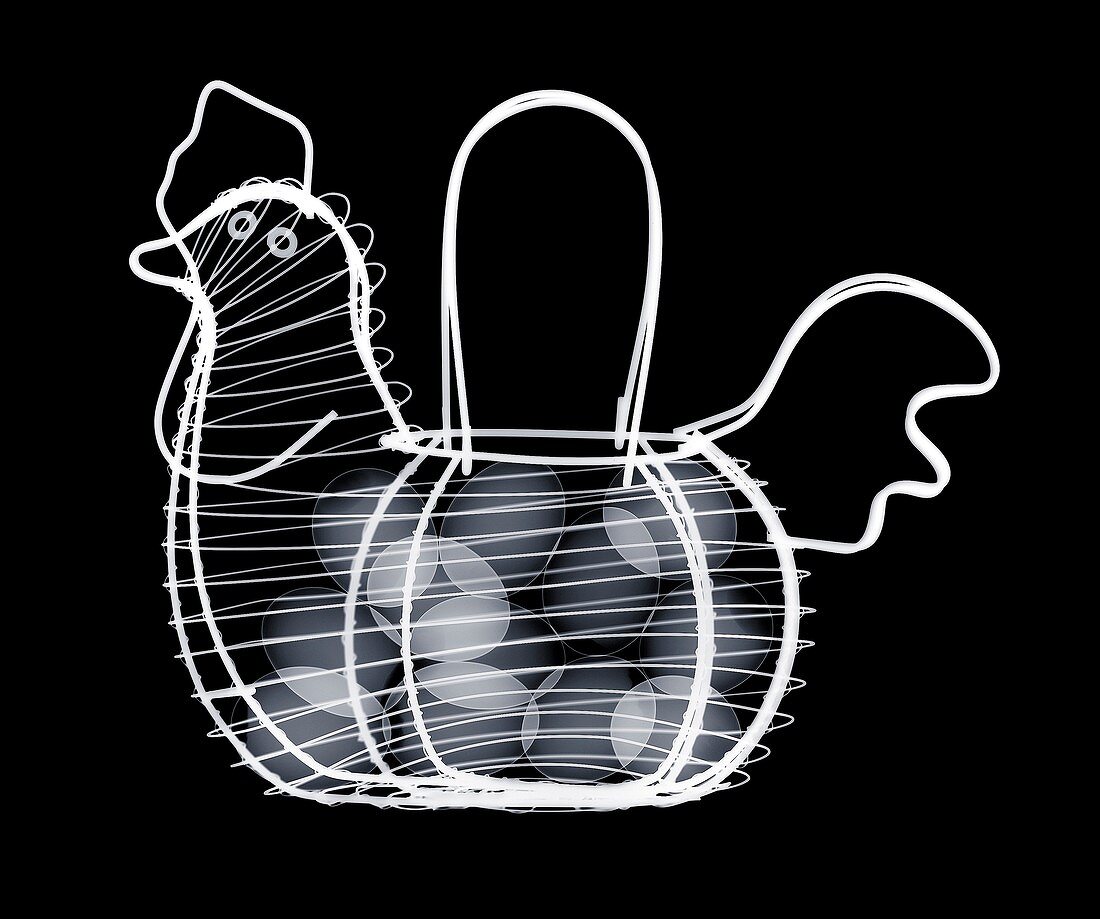 Wire egg basket in shape of a chicken, X-ray