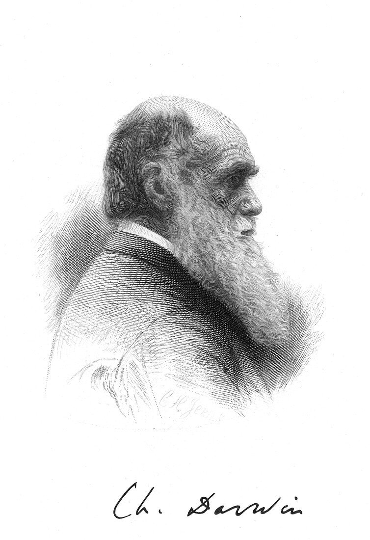 Charles Darwin, English naturalist, c1880