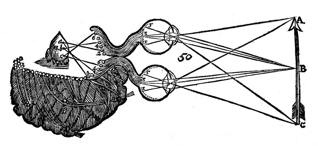 Rene Descartes' idea of vision, 1692