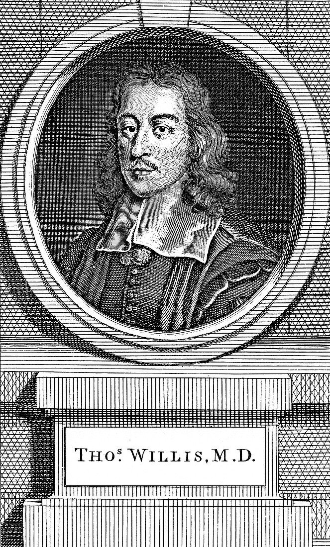 Thomas Willis, 17th century English physician, 1742
