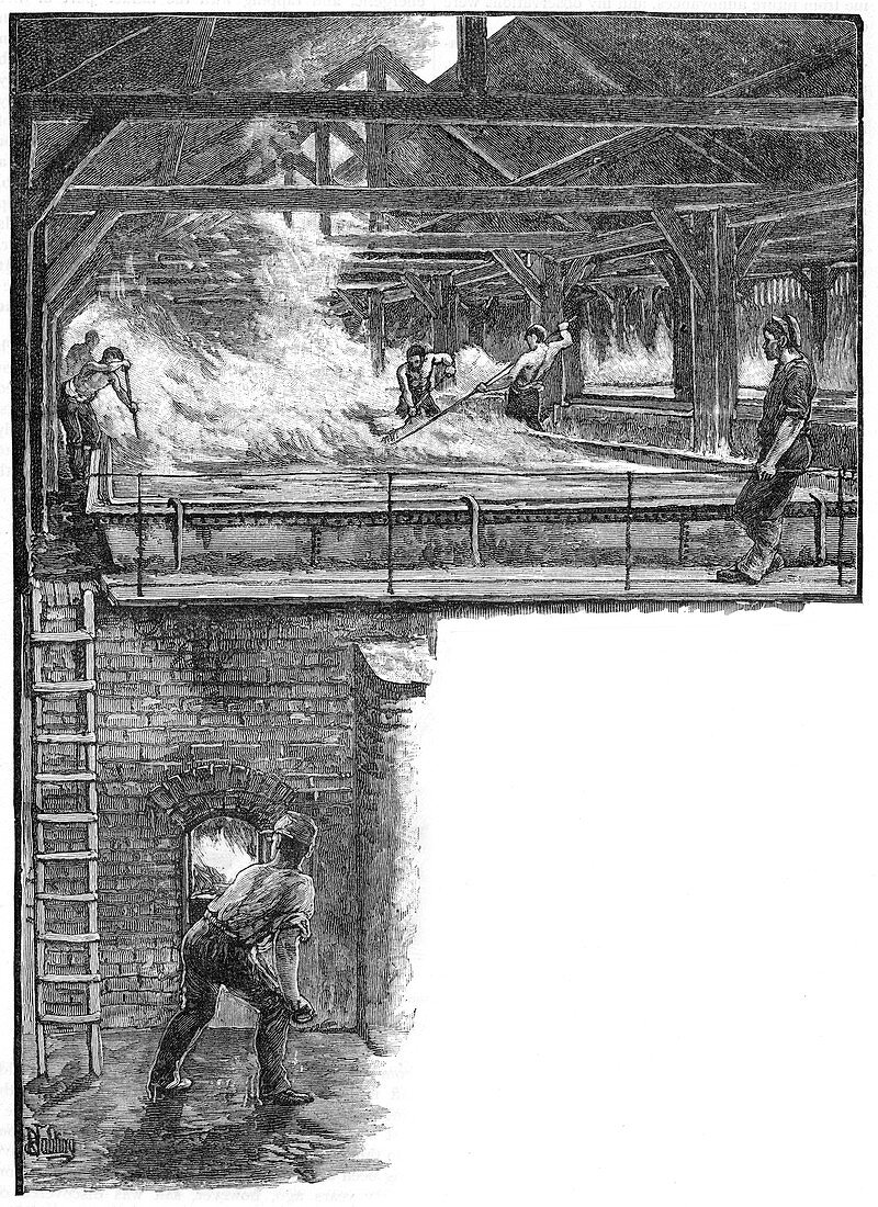 Shovelling salt at South Durham Salt Works, 1884