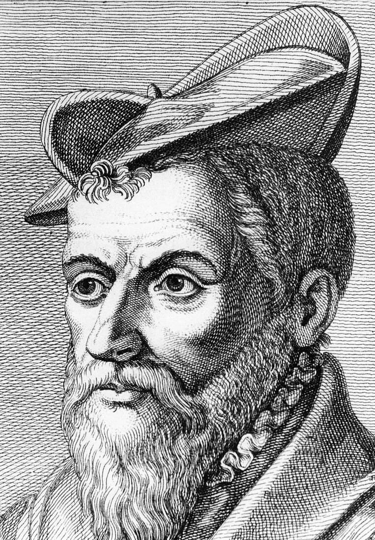 Pierre Belon, French naturalist, 1553