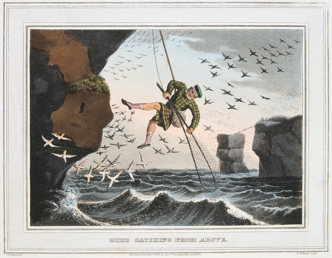 Bird Catching from Above', Shetland Islands, 1813
