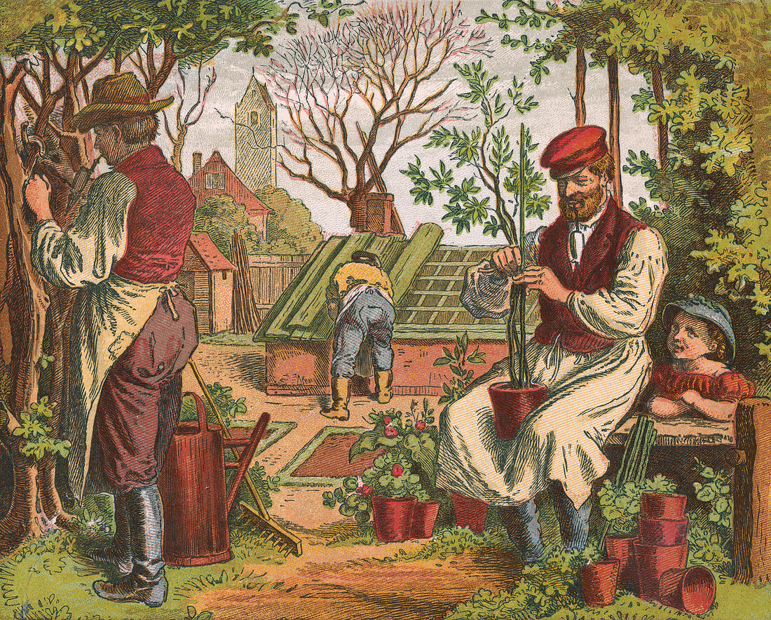 Gardening, 1871