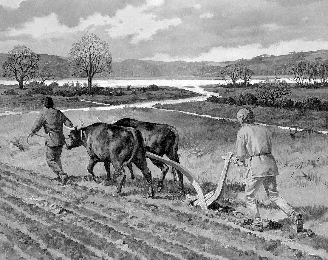 Ploughing in the Bronze Age