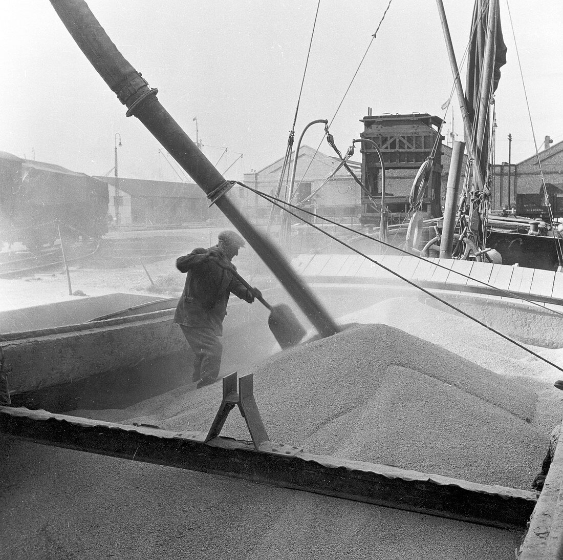 Pumping grain into barges, Millwall, London, 1953