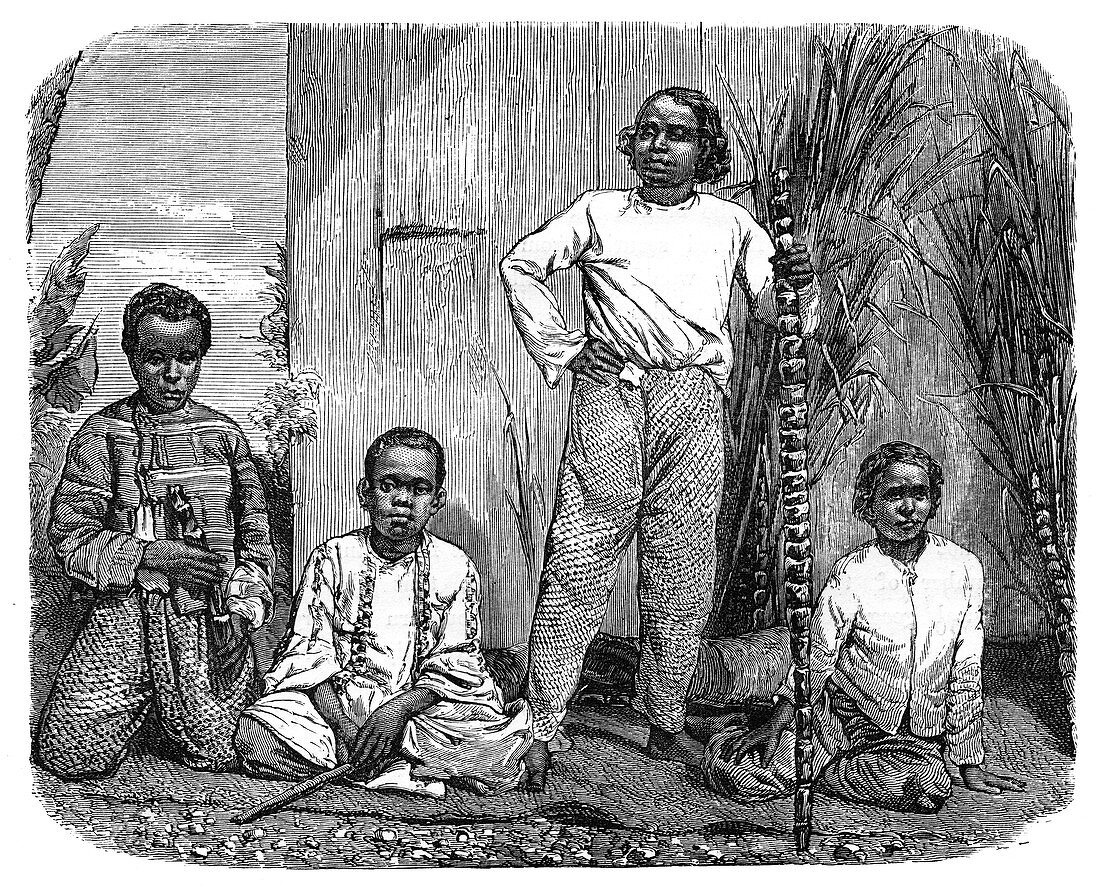 Natives of the island of Reunion', c1890