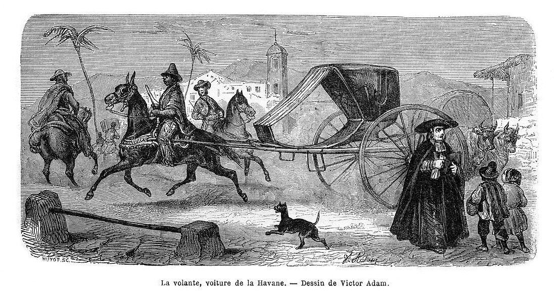 Carriage, Havana, Cuba, 1859